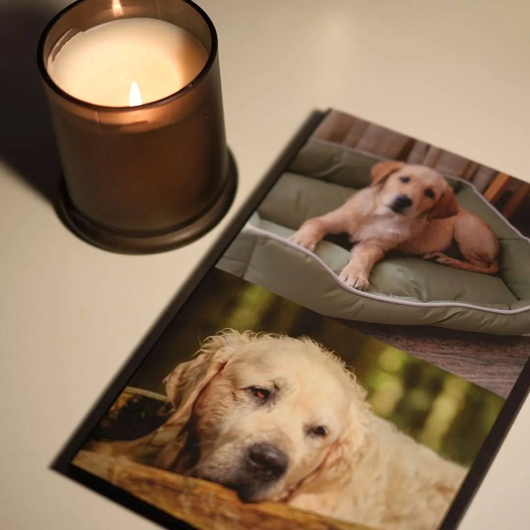 Pet Photo Books & Memory Albums