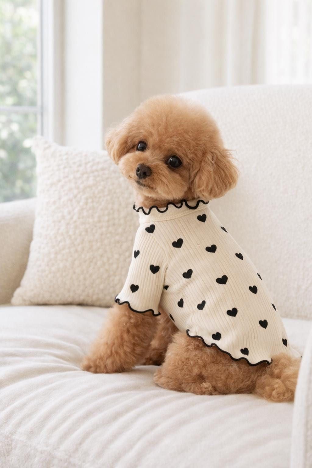 Luxury Pet Pajamas & Loungewear
